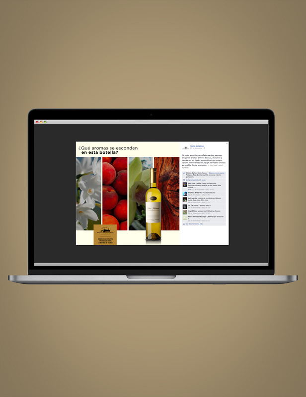 Nieto Senetiner - Facebook