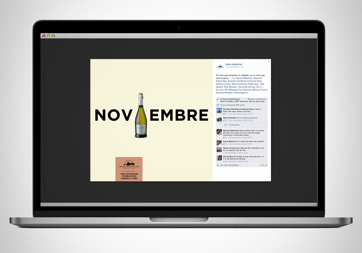 Nieto Senetiner - Facebook