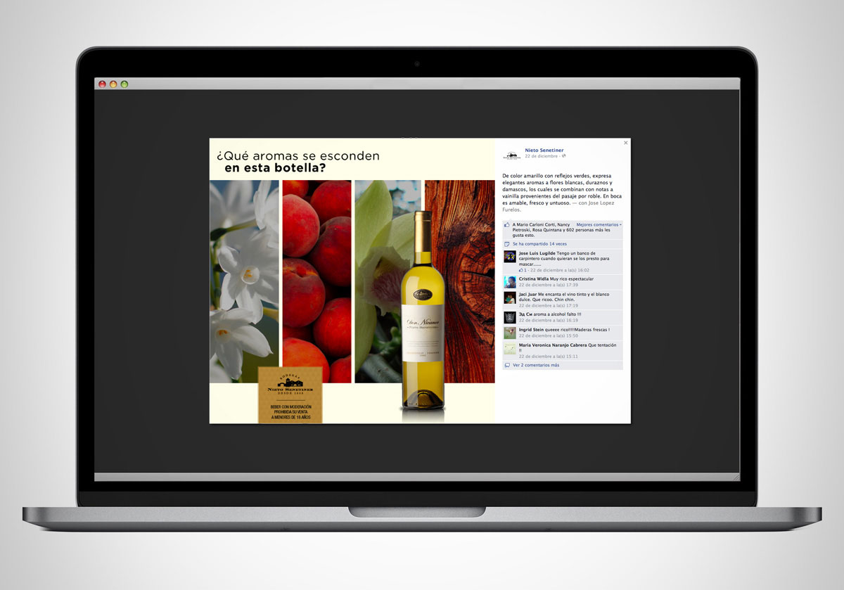 Nieto Senetiner - Facebook